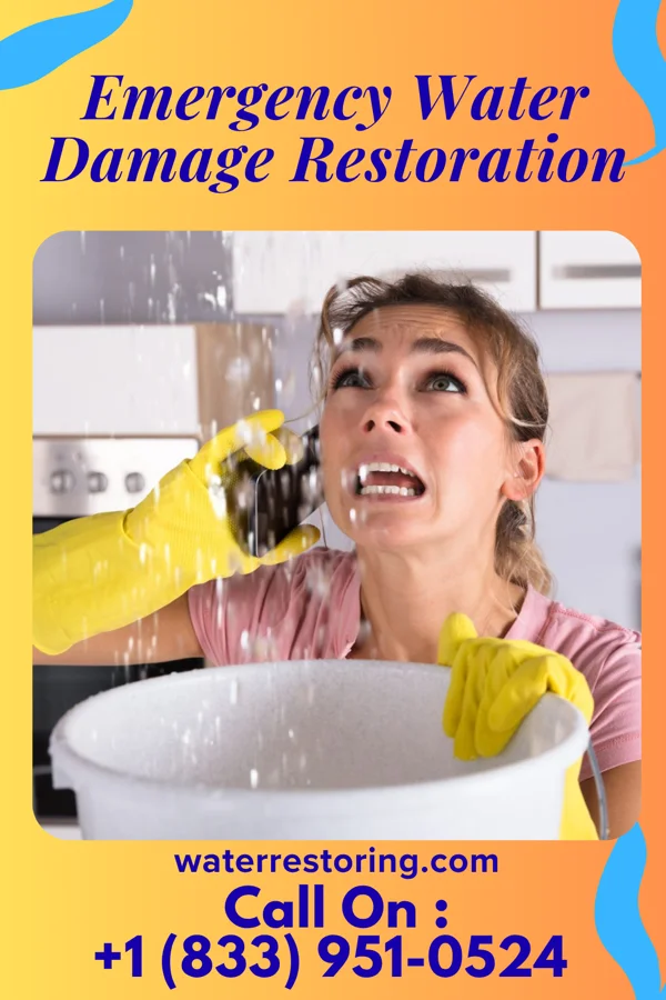 Emergency Water Damage Restoration in New Haven, IA